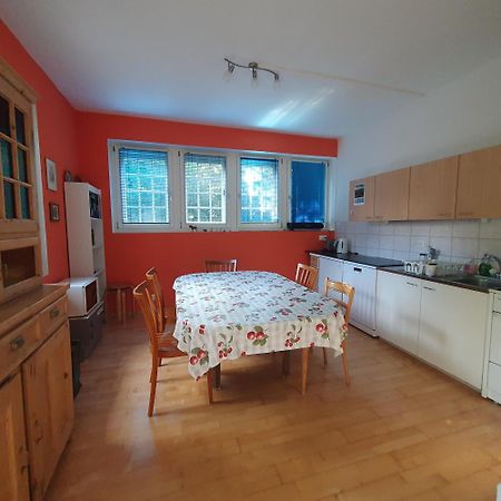 Zentral Gelegene Wohnung Mit Grossem Garten Interlaken Ngoại thất bức ảnh