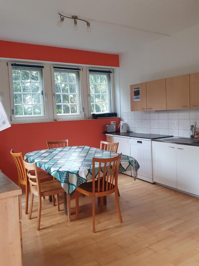 Zentral Gelegene Wohnung Mit Grossem Garten Interlaken Ngoại thất bức ảnh